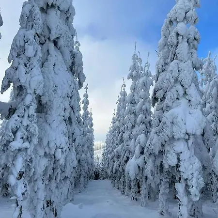 Haus Konthe, Winterberg