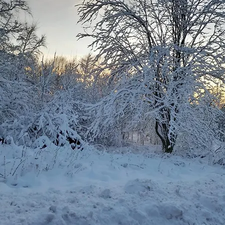 Haus Konthe, Apartment *