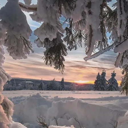 Haus Konthe, Apartment