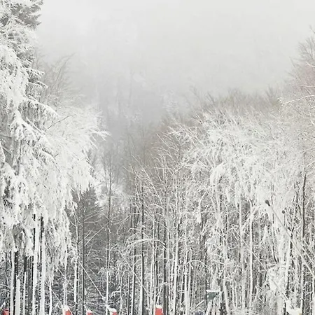 Haus Konthe, Apartment *