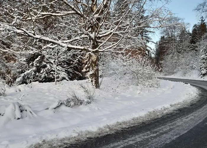 Haus Konthe, Апартаменты