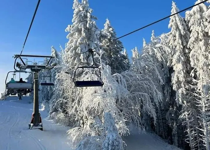 Haus Konthe, Апартаменты *