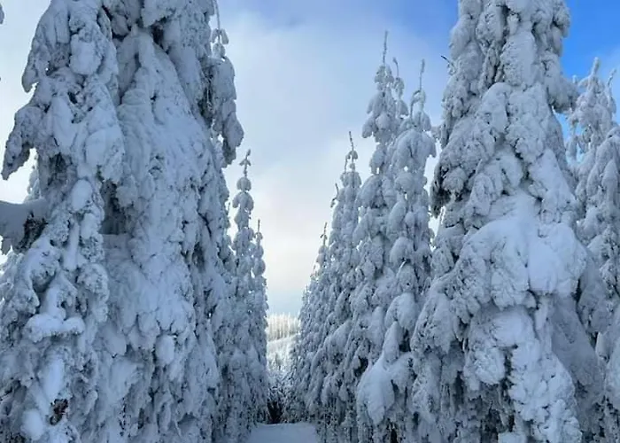 Haus Konthe, Винтерберг