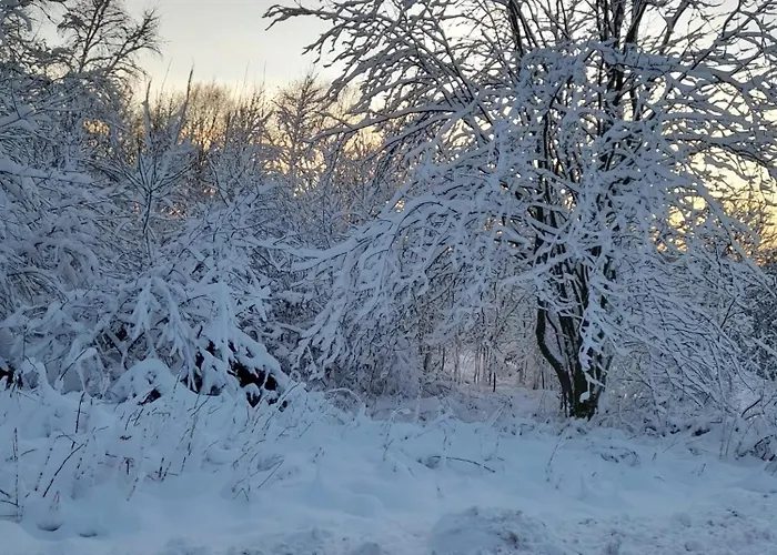 Haus Konthe, Daire *