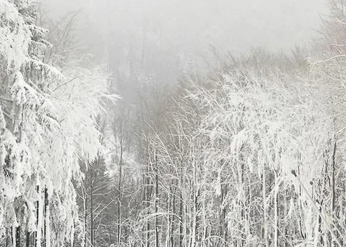 Haus Konthe, Апартаменты *